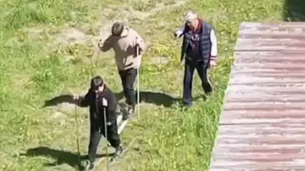 Лыжный зачет летом по траве — необычный способ ...
