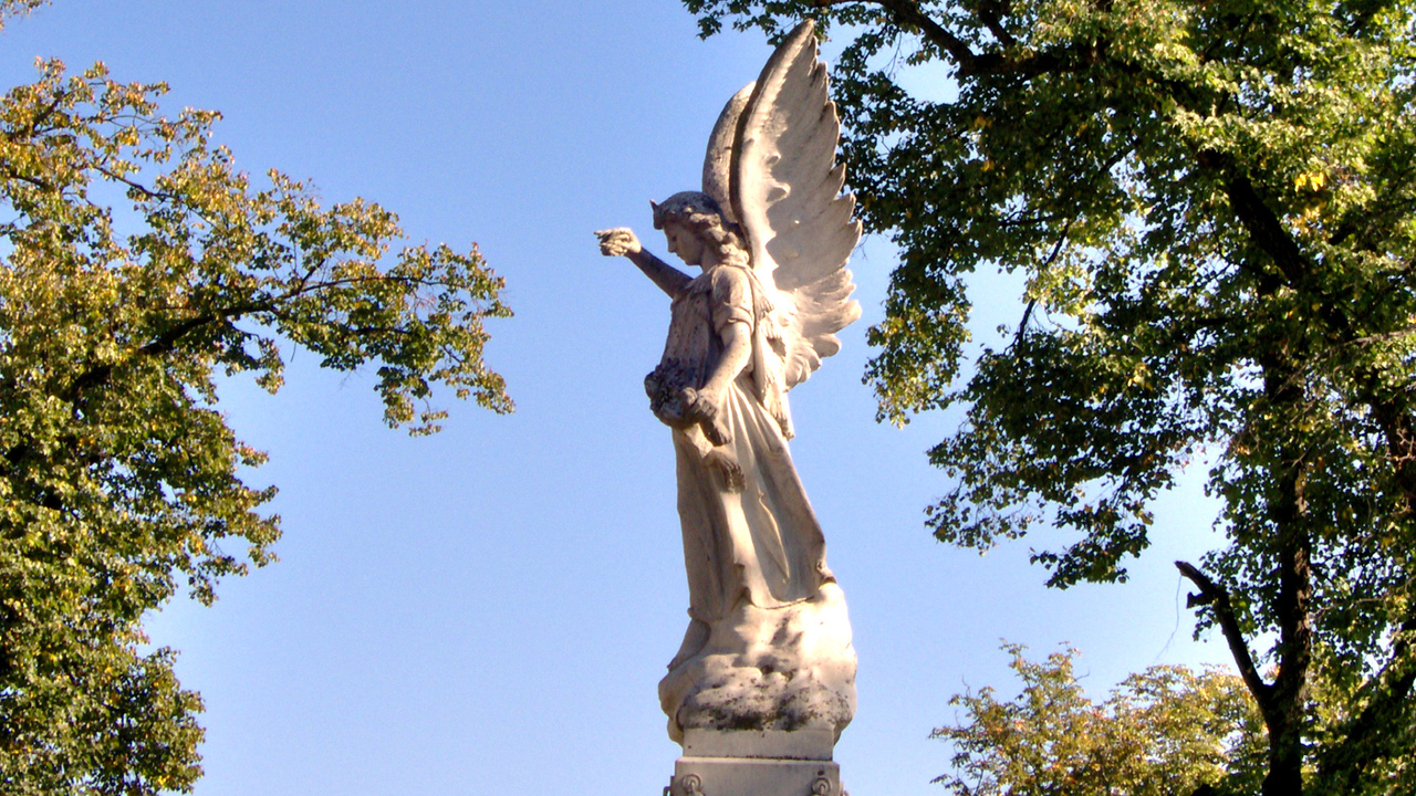 Божественный знак: священники рассказали, почему Ангел молчит, когда мы ждём ответа Считается, что каждому человеку от рождения дан...