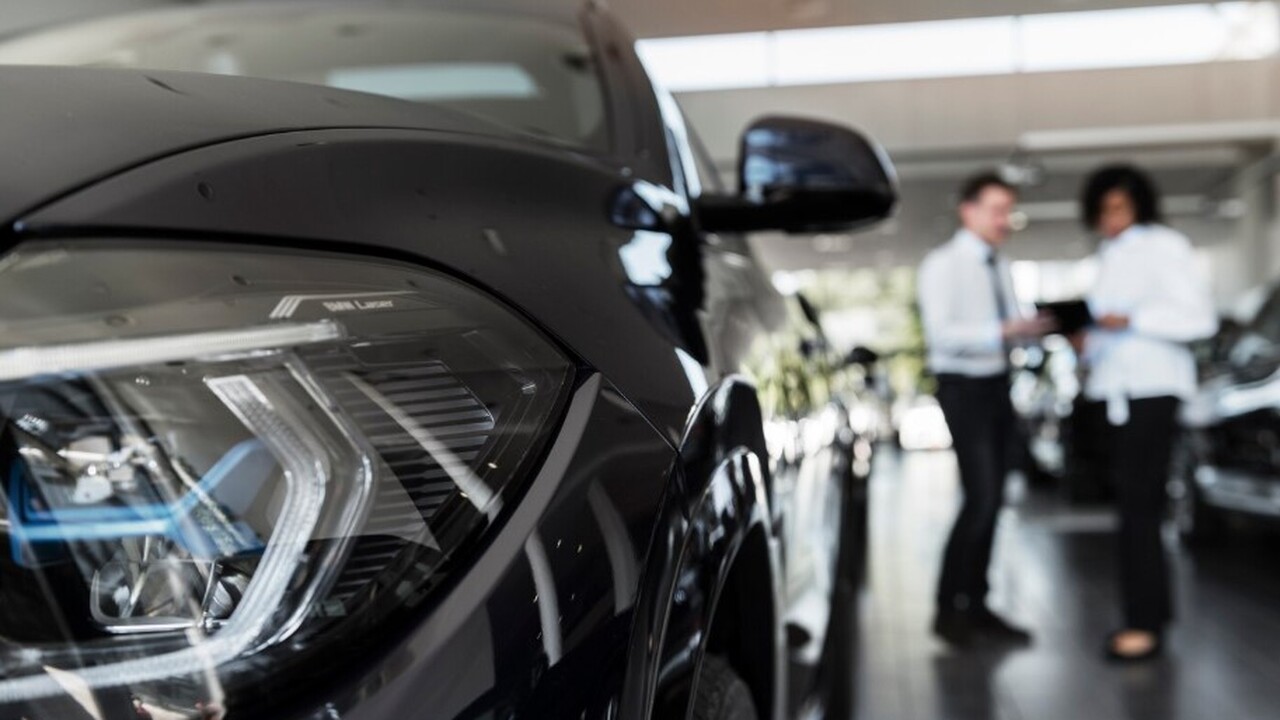 В чеченской столице обнаружили редкий экземпляр...