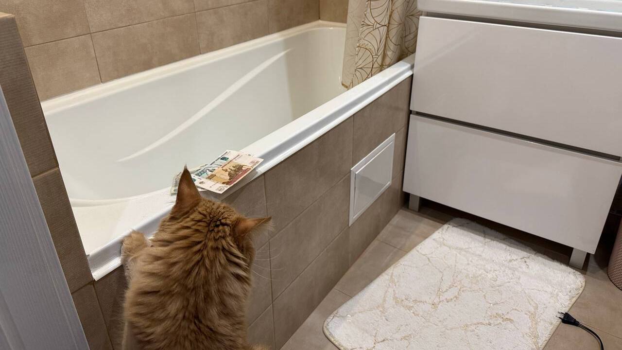 Гражданам, которые делают перепланировку в свои...