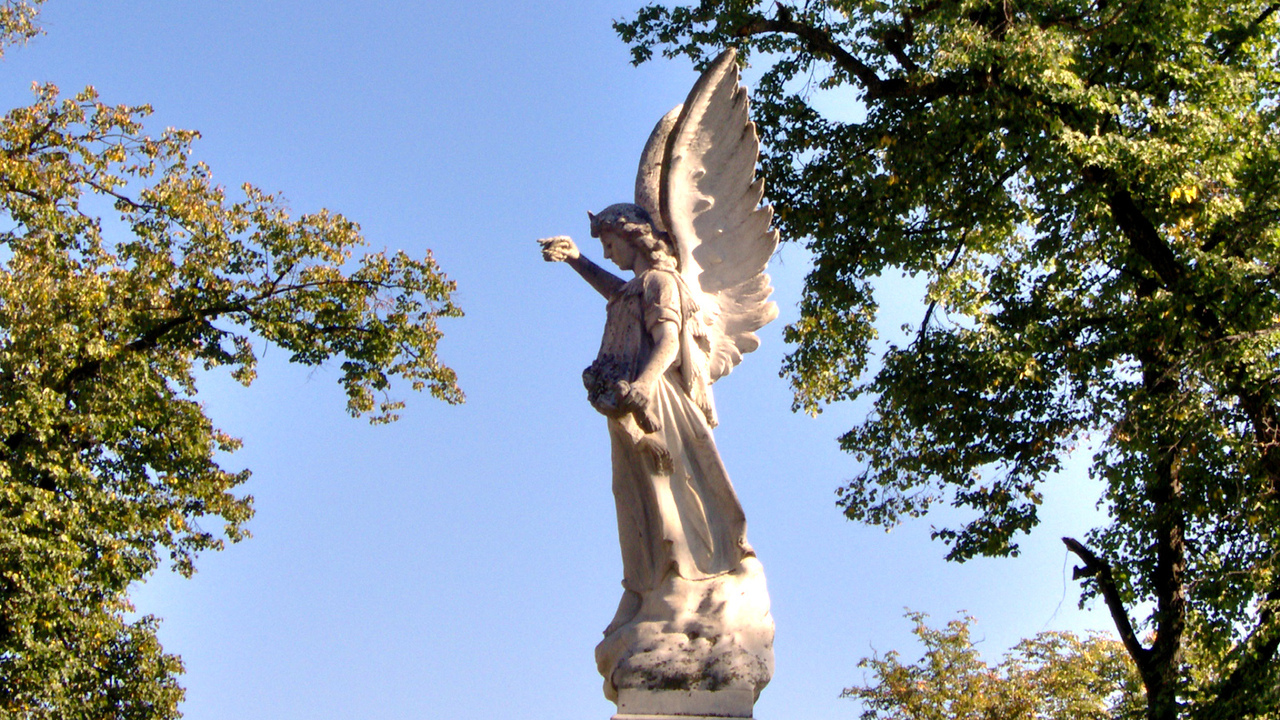 Небесная тайна: почему человек не слышит своего Ангела-Хранителя Многие уверены: у каждого человека есть Ангел-Х...