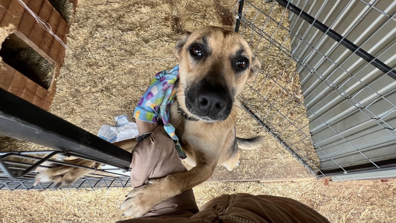 Прокуратура провела проверку по факту возможног...