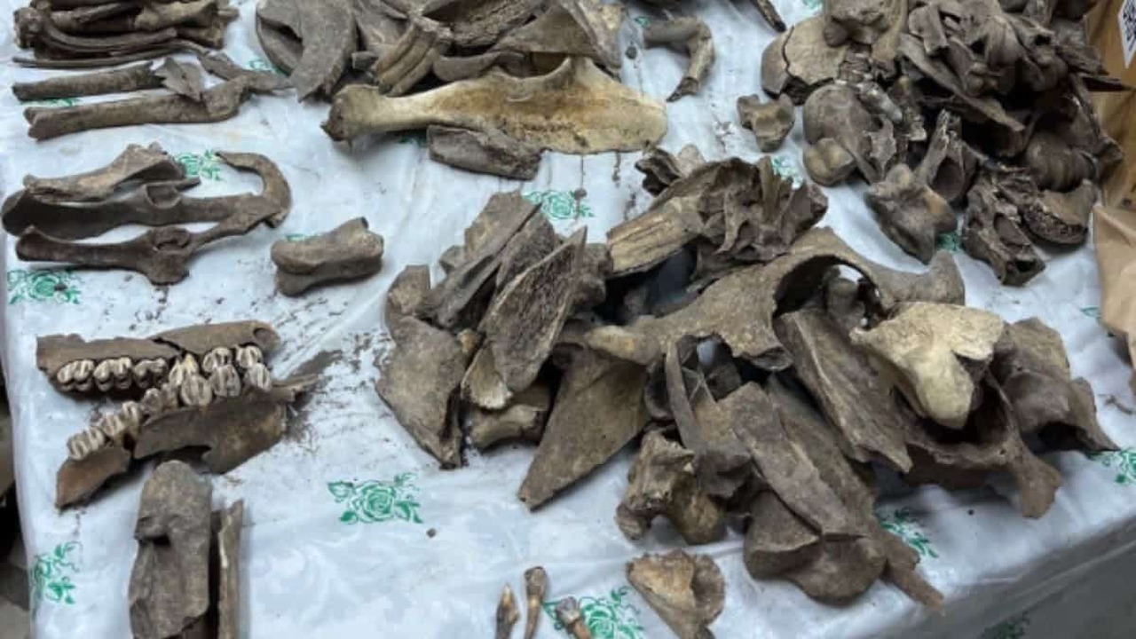 Городище Саломатово I на берегу Усьвы долго ост...