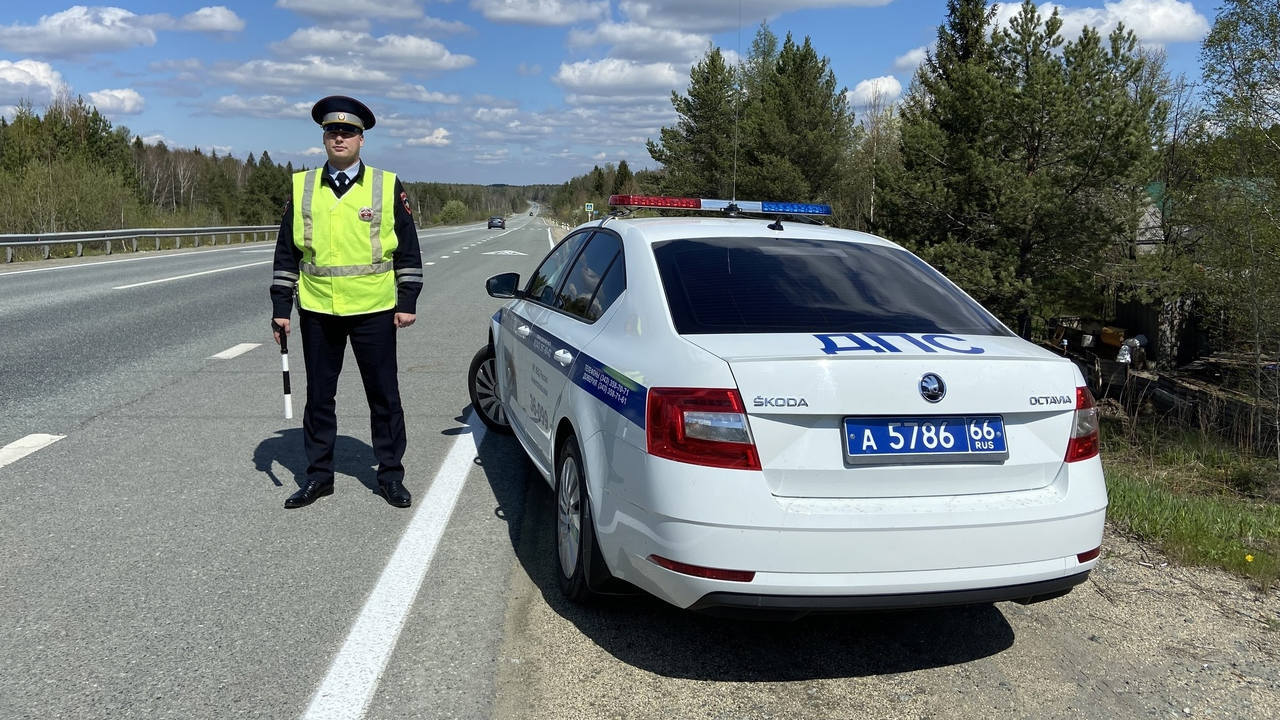 Зачем гаишники просят показать язык и имеет ли ...