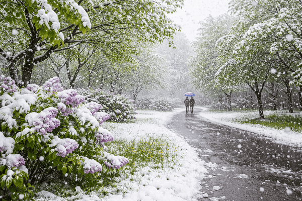 Холодный фронт со снегом обрушится на Центральную Россию — аномальные заморозки уже на подходе