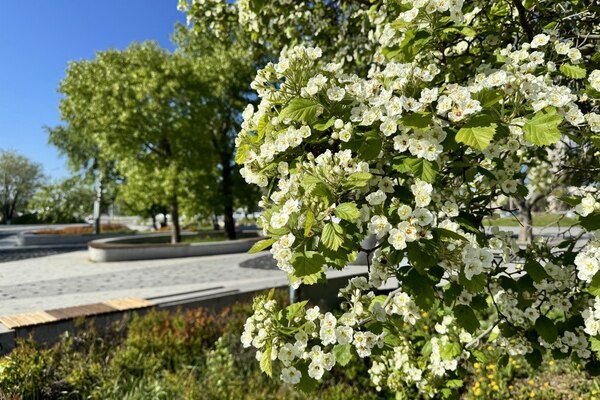 Ранняя весна 2026 уже на пороге: синоптики раскрыли неожиданный сценарий для России