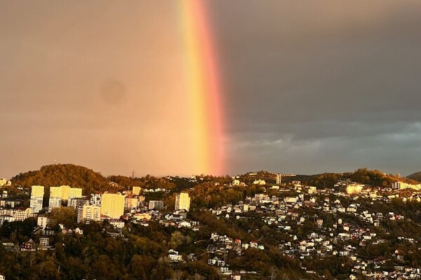 Почему отдых в Сочи перестал быть доступным и комфортным этим летом