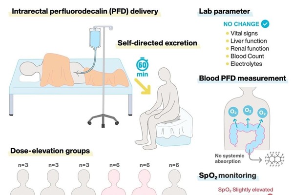 Учёные подтвердили безопасность «кишечного дыхания» для людей