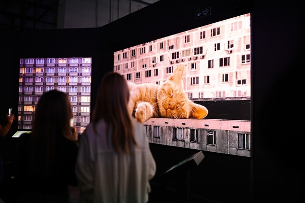 В Перми пройдет выставка цифрового искусства «Страна. Связь. Технологии»