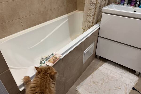 С 1 марта правила в сфере ЖКХ изменятся заметно: какие начисления ждут собственников и прописанных