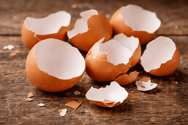 Популярный совет для дачи подвёл тысячи людей: как правильно вносить яичную скорлупу в почву