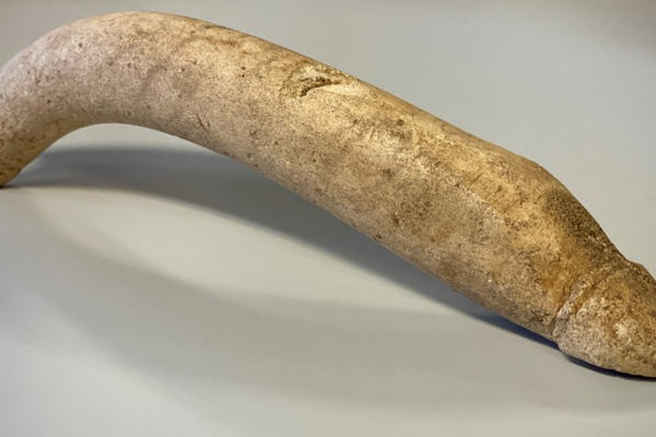 В Неймегене нашли 20-сантиметровый римский фаллос