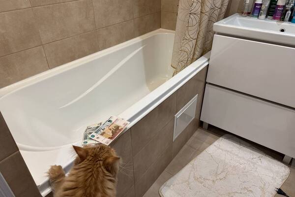 Счета за ЖКУ можно сократить сейчас: как обычные семьи уменьшают платежи почти вдвое простыми способами