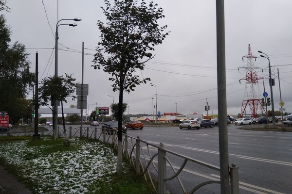 Зима в России может исчезнуть на непривычно долгий срок: Вильфанд сделал тревожное заявление о погоде на Новый год