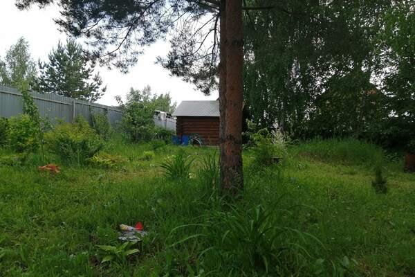 Все думали, что будет проще: почему почти все новые фермеры не выдерживают жизни в деревне