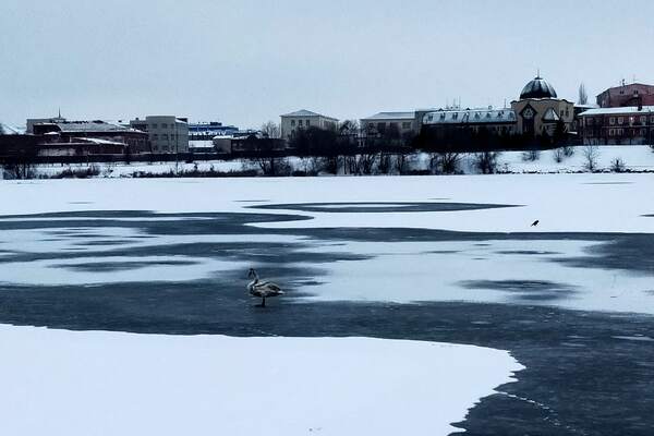 Страна столкнётся с нетипичной зимой: снега в сезоне 2025–2026 может почти не быть