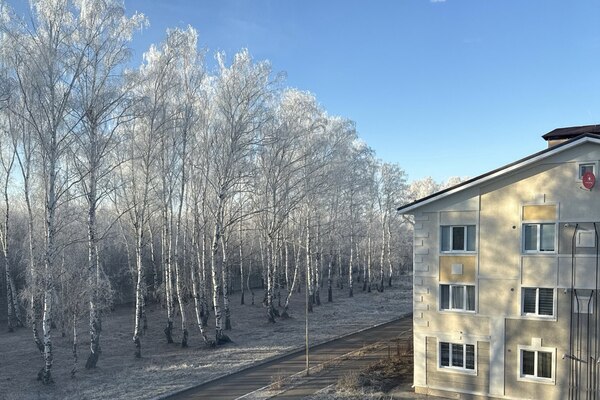 Прогноз на весь месяц без оптимизма: чем январь в Пермском крае удивит по сравнению с прошлым годом