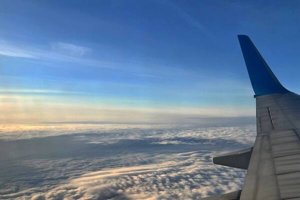 Шок в EasyJet: британцы попытались лететь с умершей родственницей