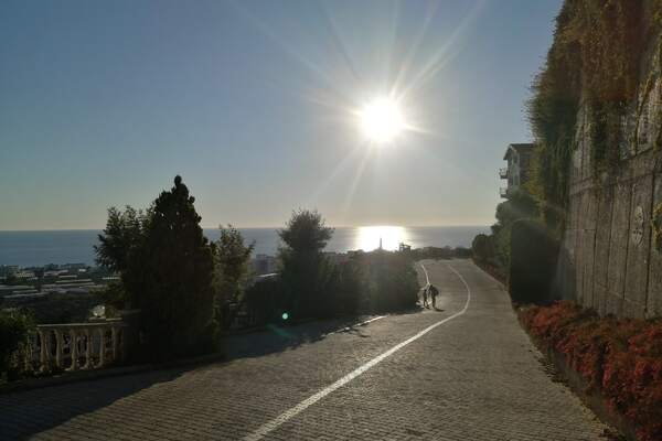 «Больше ни ногой»: путешественница назвала три страны, куда не хочет возвращаться