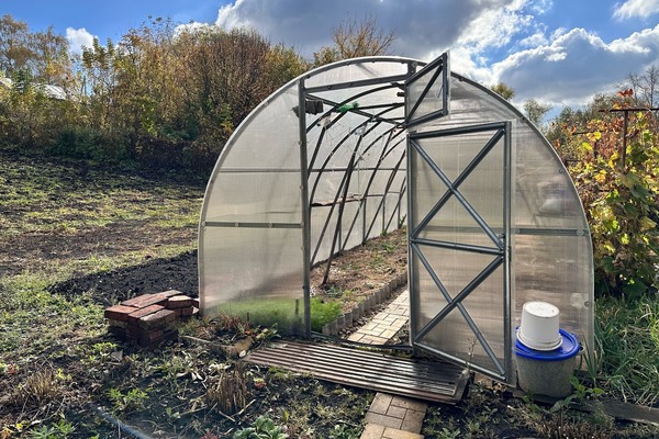 Почва в теплице больше не плодоносит как раньше: простой способ оживить землю без замены и навоза