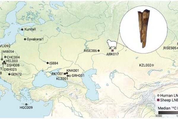 Cell: находка в Аркаиме дает новое понимание распространения древней чумы