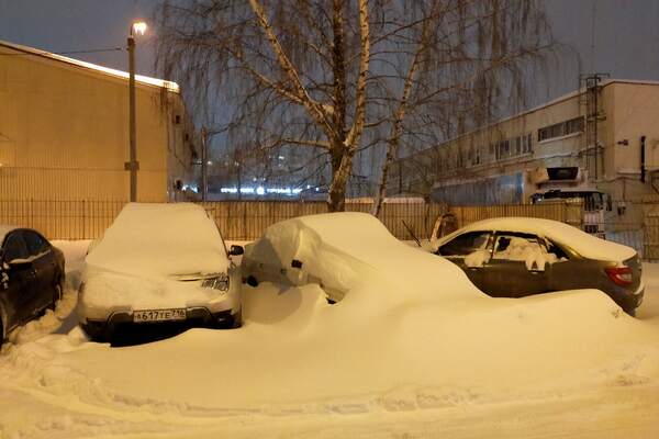 Зима возьмёт своё без поблажек: какой будет погода на Новый год и январь 2026 в центре России