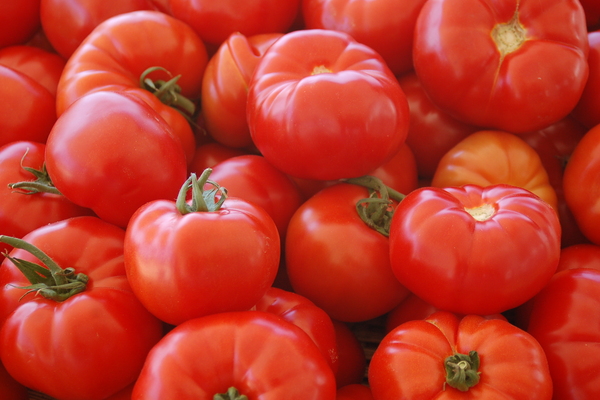 Полезно каждому дачнику: шесть сортов томатов с лучшим вкусом и урожайностью — выбирайте свои