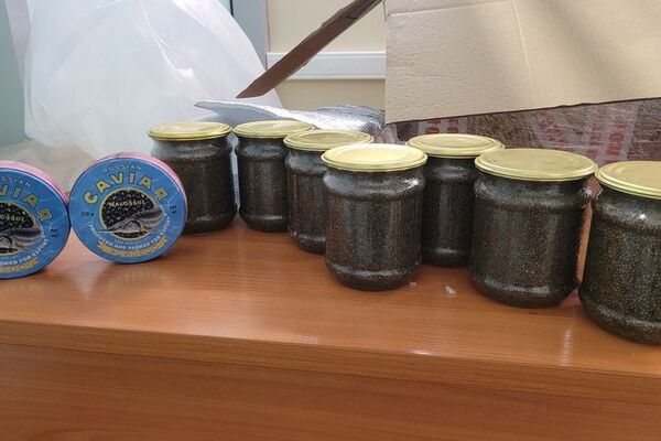 Россиянин пытался вывезти икру в Дубай — ему грозит штраф до 1 млн руб.