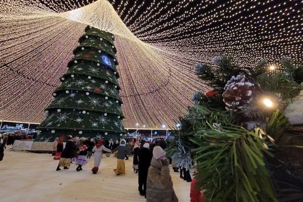 Настоящая зима вернётся к праздникам: на Новый год ожидаются снегопады и крепкий мороз