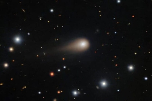 Гарвардский астроном: 3I/ATLAS могла быть «курьером» для доставки зондов к Юпитеру