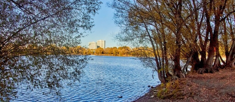 В долине реки Мулянка в Перми планируют создать...