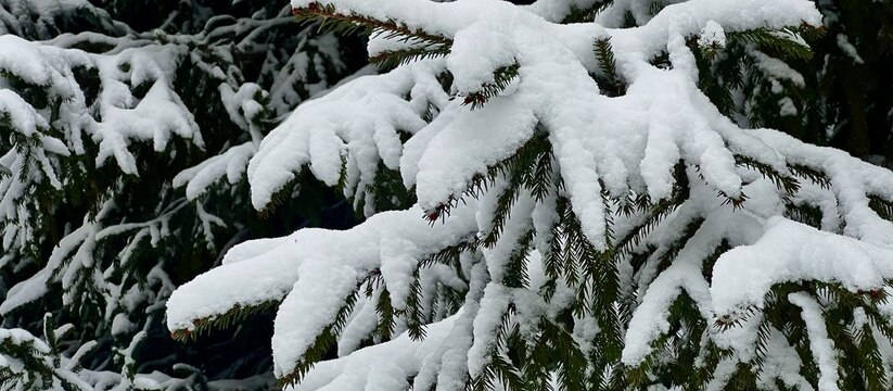 Компания SuperJob провела опрос среди жителей г...