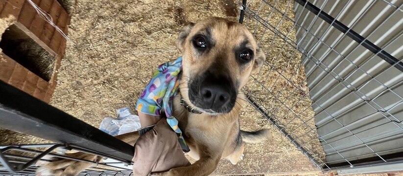 В Перми планируют провести открытый аукцион, по...