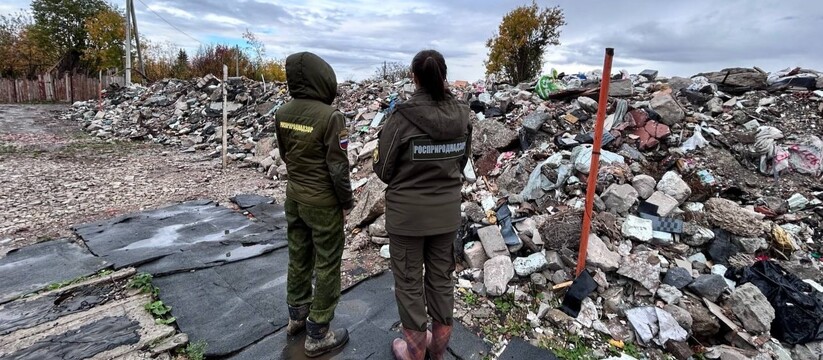 Власти Перми займутся устранением крупной свалки В Орджоникидзевском районе Перми планируется ре...