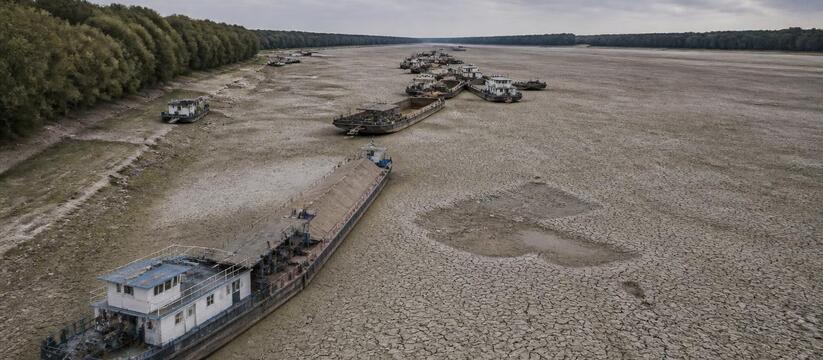 Румыния осталась без реки: встали паромы и баржи Дунай обмелел до рекордного уровня за 20 лет: в...
