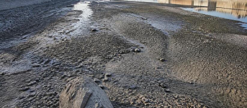 Уровень Дуная в Будапеште упал до 41 см, обнажи...
