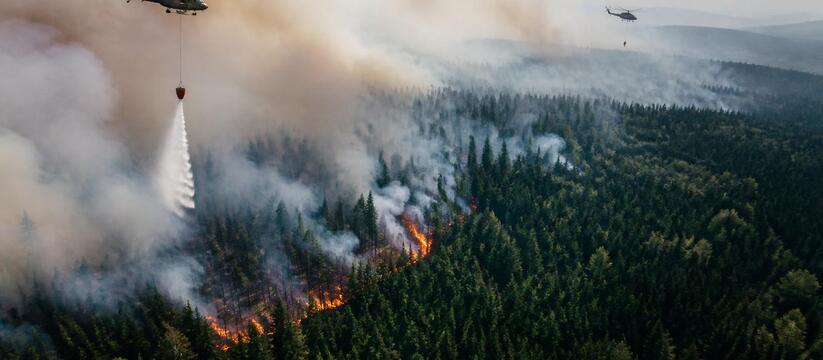 Пожар в немецком нацпарке Мюриц разросся до 388 га Лесной пожар в национальном парке Мюриц в Герма...
