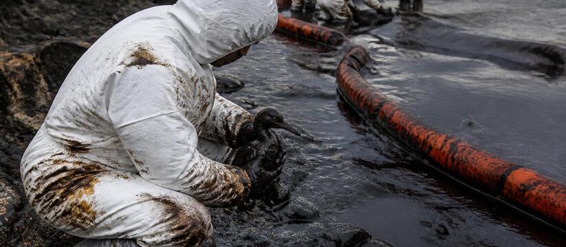 В Перми из-за разлива нефти в Мулянке гибнут животные Разлив нефтепродуктов в реке Мулянка в Перми пр...