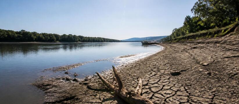 В Румынии уровень воды в Дунае упал до историче...