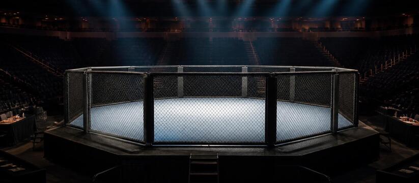 Том Аспиналл освободил пояс чемпиона UFC в тяже...