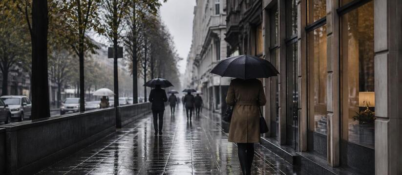 В Перми за три дня выпало 64 мм осадков — месяч...