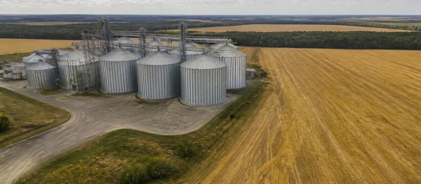 Россельхознадзор в Пермском крае с начала 2026 ...
