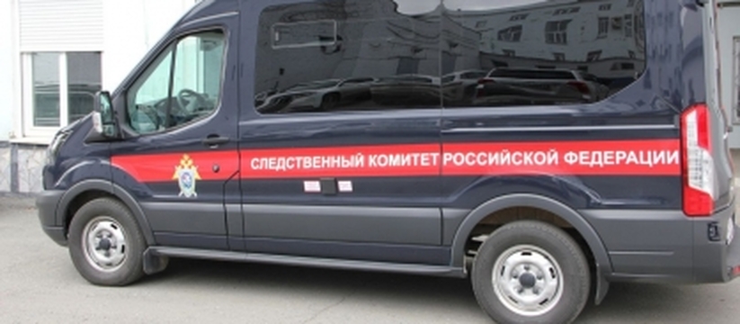 Психологи разъяснили, почему школьница из Прика...