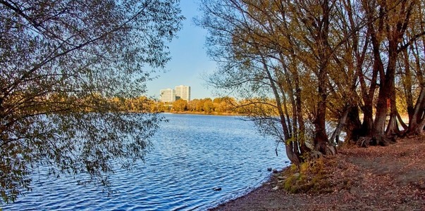 В Перми разработали проект сенсорного парка у р...