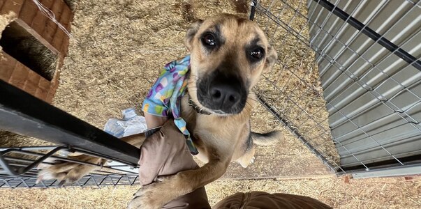 В Перми пройдут торги на использование имуществ...