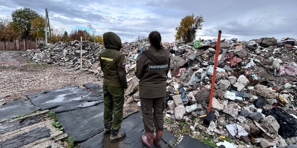 Власти Перми займутся устранением крупной свалки