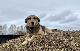 Власти Перми объяснили решение о торгах по прию...