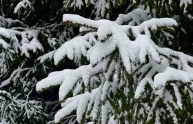 Жители Перми оценили новогоднее оформление горо...