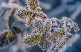 С 21 января в Прикамье может похолодать до -33°С