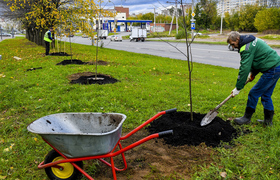 В Перми завершили работы по озеленению долины Д...